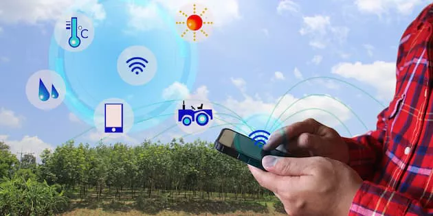Diferentes softwares podem ser usados pelo produtor rural para a gestão da lavoura
