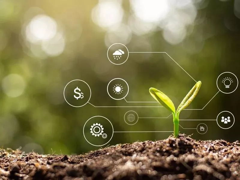 Os dados sobre o ambiente de produção permitem ao produtor de soja maximizar o manejo da cultura