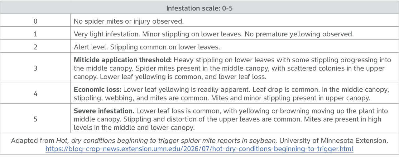 Table with infestation scale used for treatment decision-making to control twospotted spider mite.