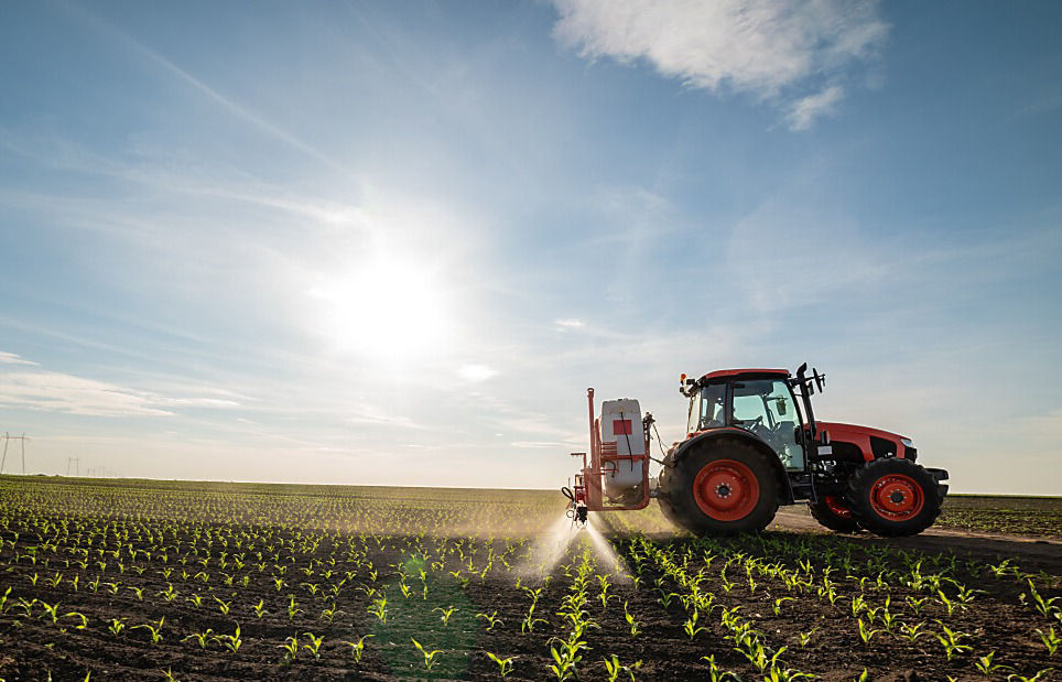  Consultant and farmer in corn field
