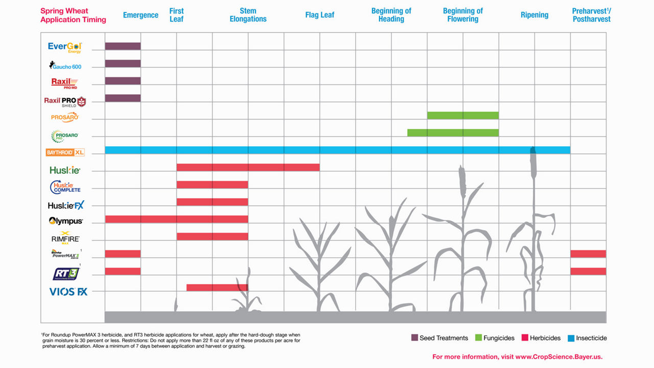 Spring Wheat Application Timing Chart