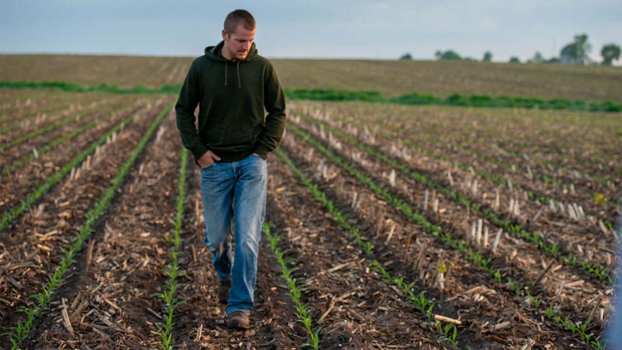 Soybean farmer checking field with early sprouting beans