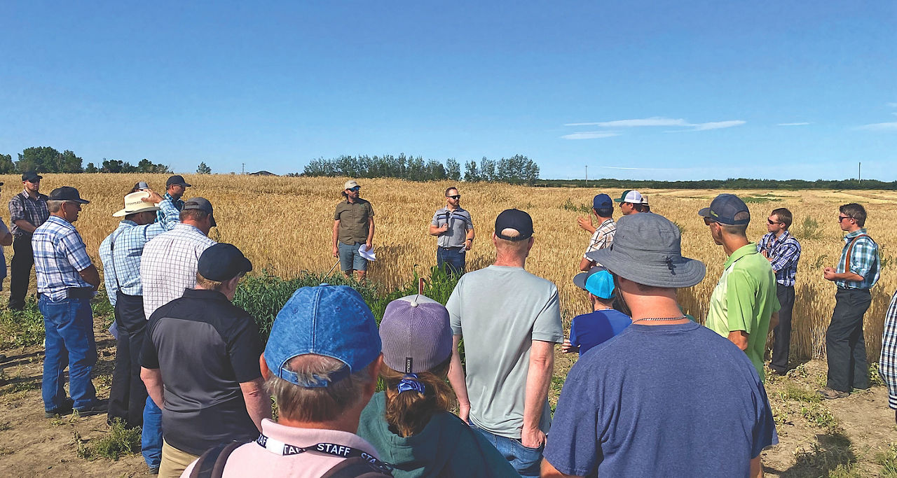 Stamp Seeds hosting summer and fall crop tours. A group of people and farmers in a field looking at one person speaking.