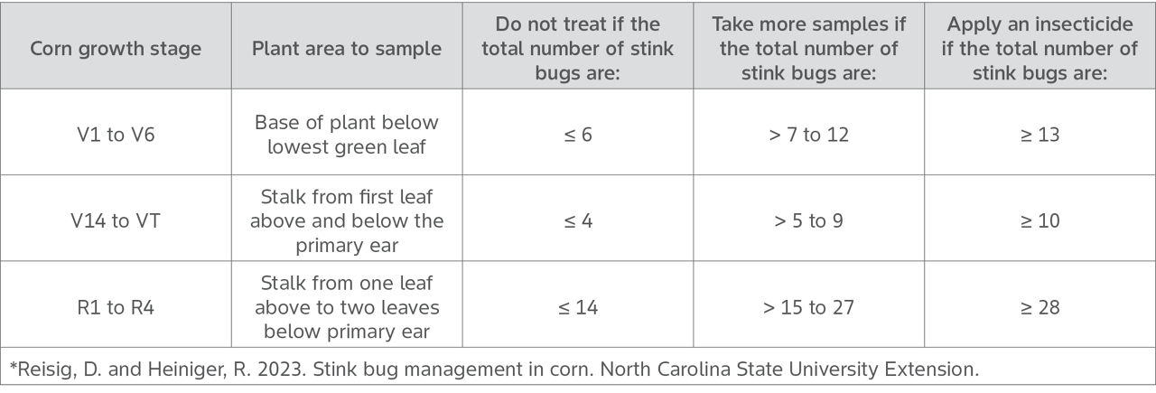 Table shows Stinkbug treatment guidelines for corn plants with a corn vegetative stage of V1 to V6, V14 to VT, and corn reproductive stage of R1 to R4. Table also identifies thresholds for when not to treat, when to sample more, and when to apply an insecticide treatment.
