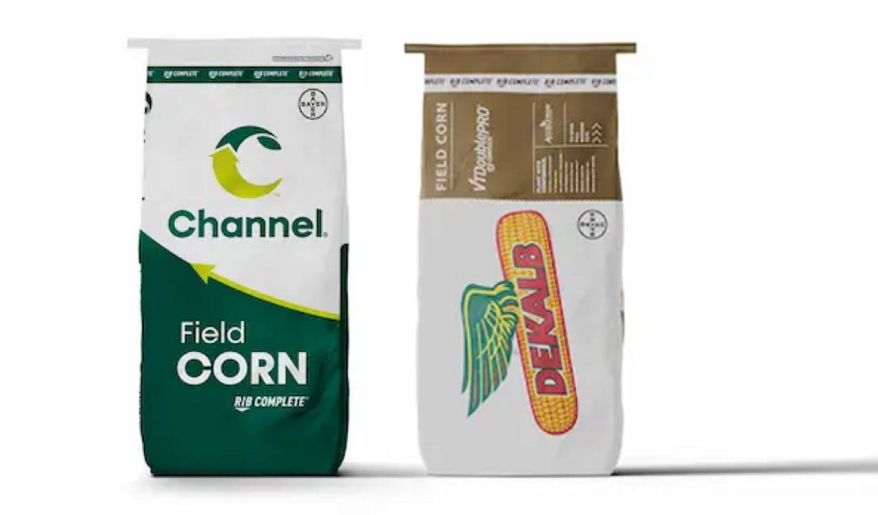 A channel field corn seed back and a dekalb fungicide seed bag