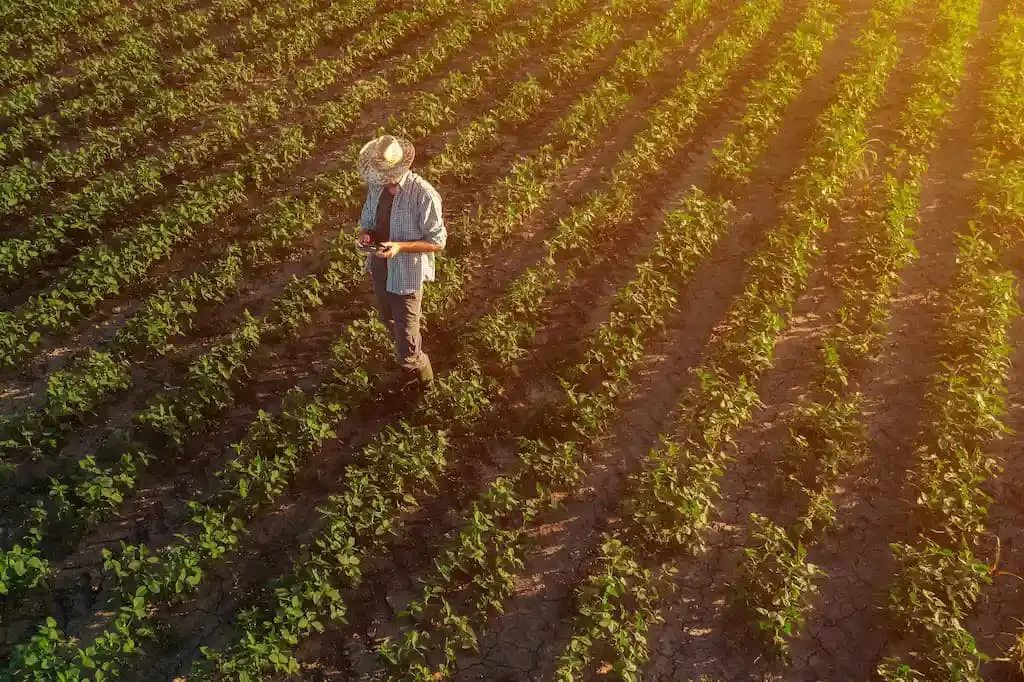 Ferramentas da agricultura digital auxiliam o produtor de soja no monitoramento da lavoura