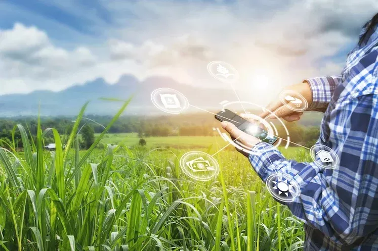 Utilizar plataformas digitais para gestão das informações é chave para o sucesso