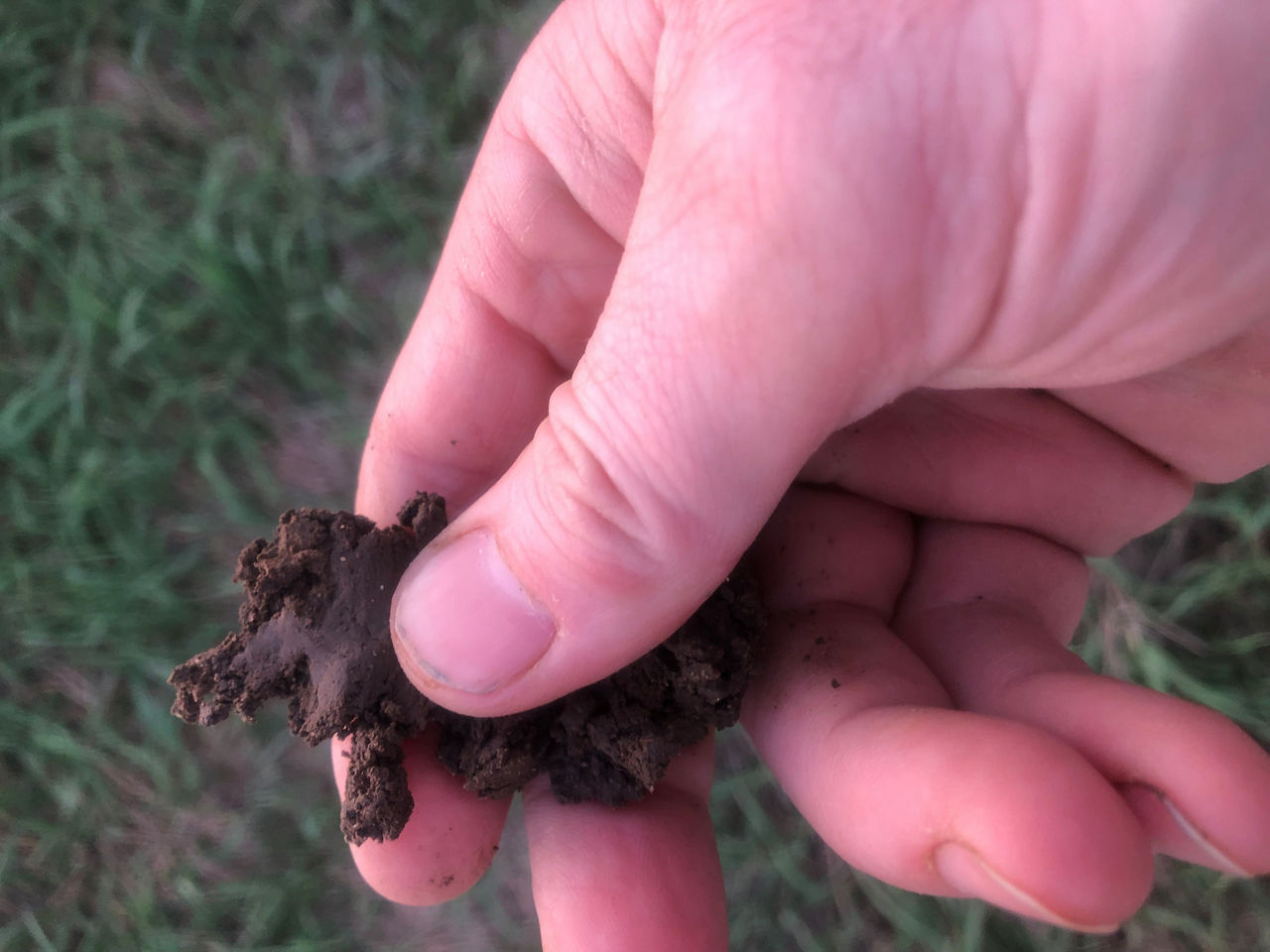 Soil squeeze test for planting readiness