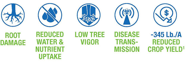 Nematode Threats to Orchard Health and Longevity