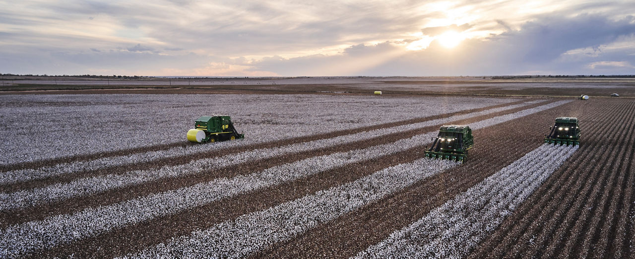 Three tractors harvesting cotton on a field