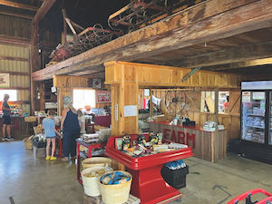  An interior shot at the Wholesome Pickins Market & Bakery