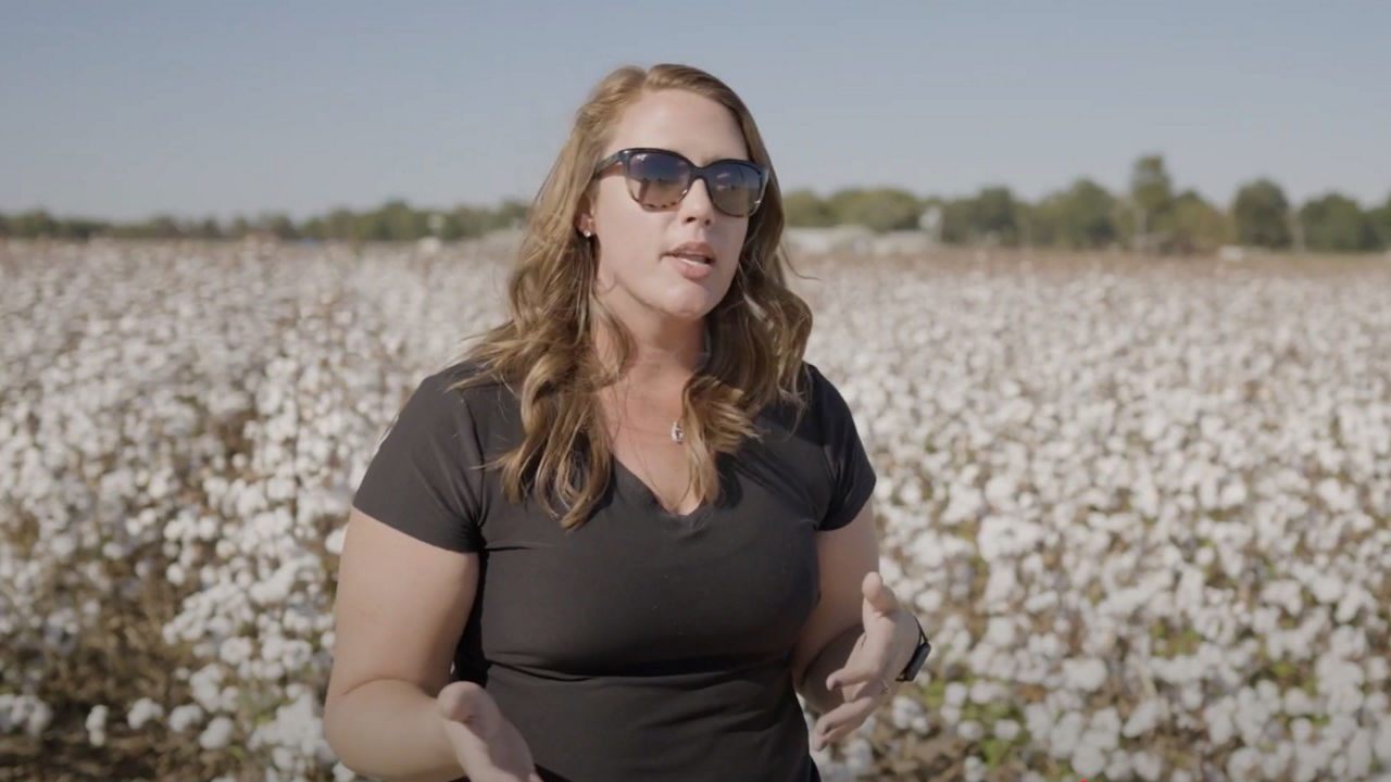 A farmer standing in a cotton field providing testimony 