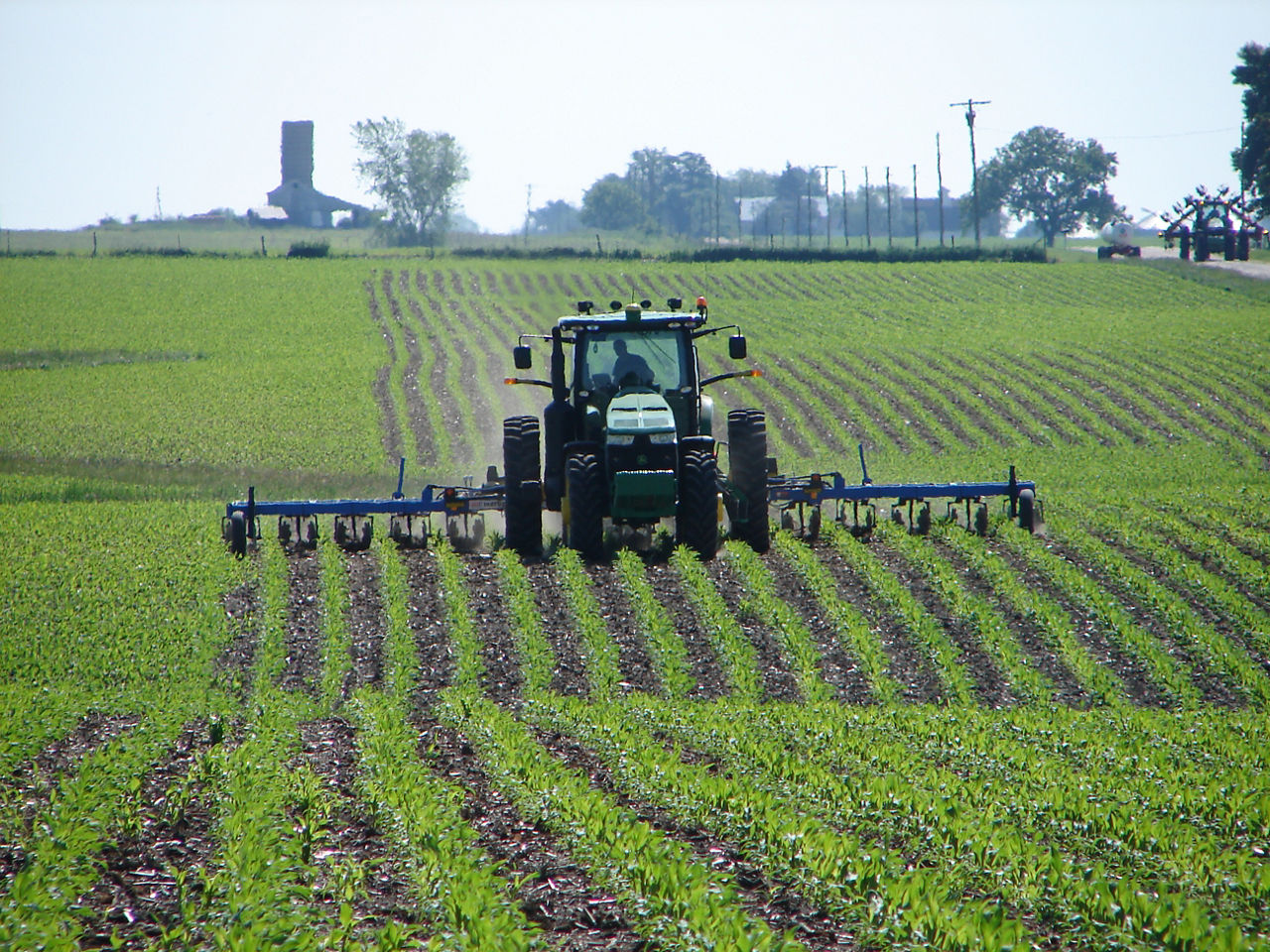 Tractor applying bands of nitrogen fertilizer to a corn field.