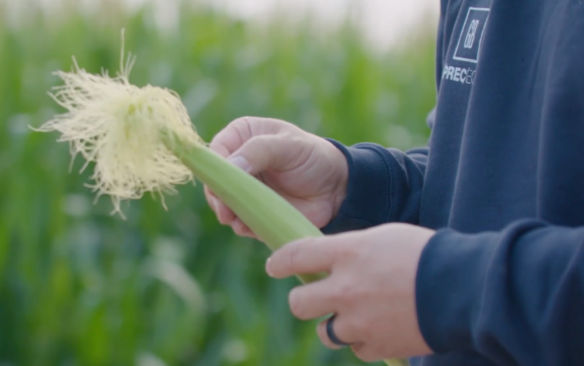 Finally, in some case we take our products to on-farm trials.