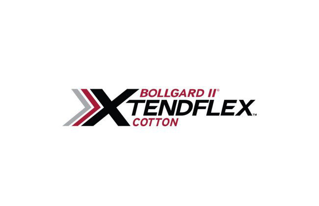  Bollgard II XtendFlex Cotton
