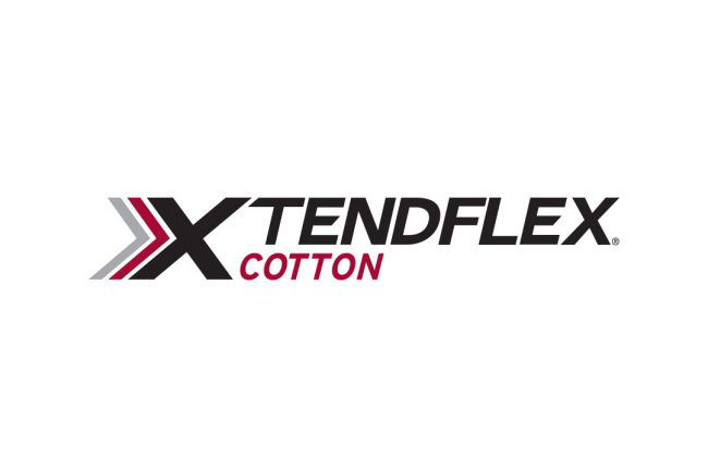  XtendFlex Cotton