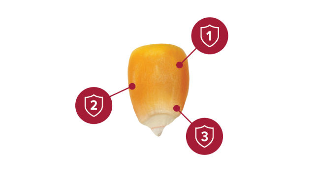 What Makes Trecepta® Technology Different From Other Corn Traits?