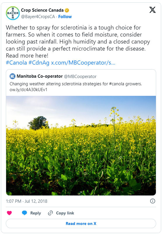 Whether to spray for sclerotinia is a tough choice for farmers. So when it comes to field moisture, consider looking past rainfall. High humidity and a closed canopy can still provide a perfect microclimate for the disease. Read more here!