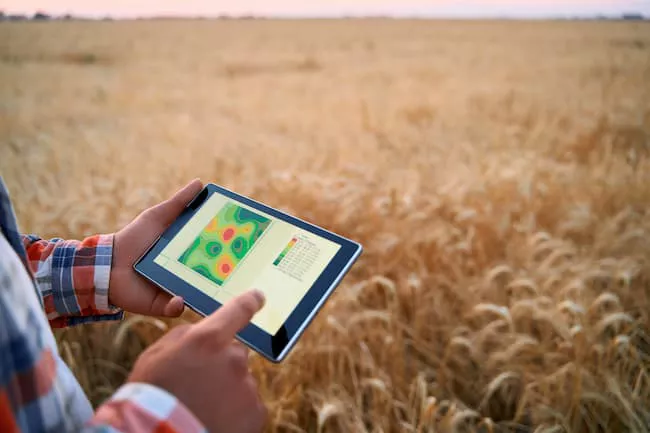 Ao tocar a tela do tablet, é possível visualizar diferentes informações digitais sobre a lavoura: um bom software armazena os dados gerados na fazenda na nuvem