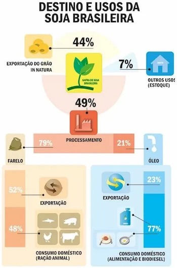 Destino e usos da soja brasileira