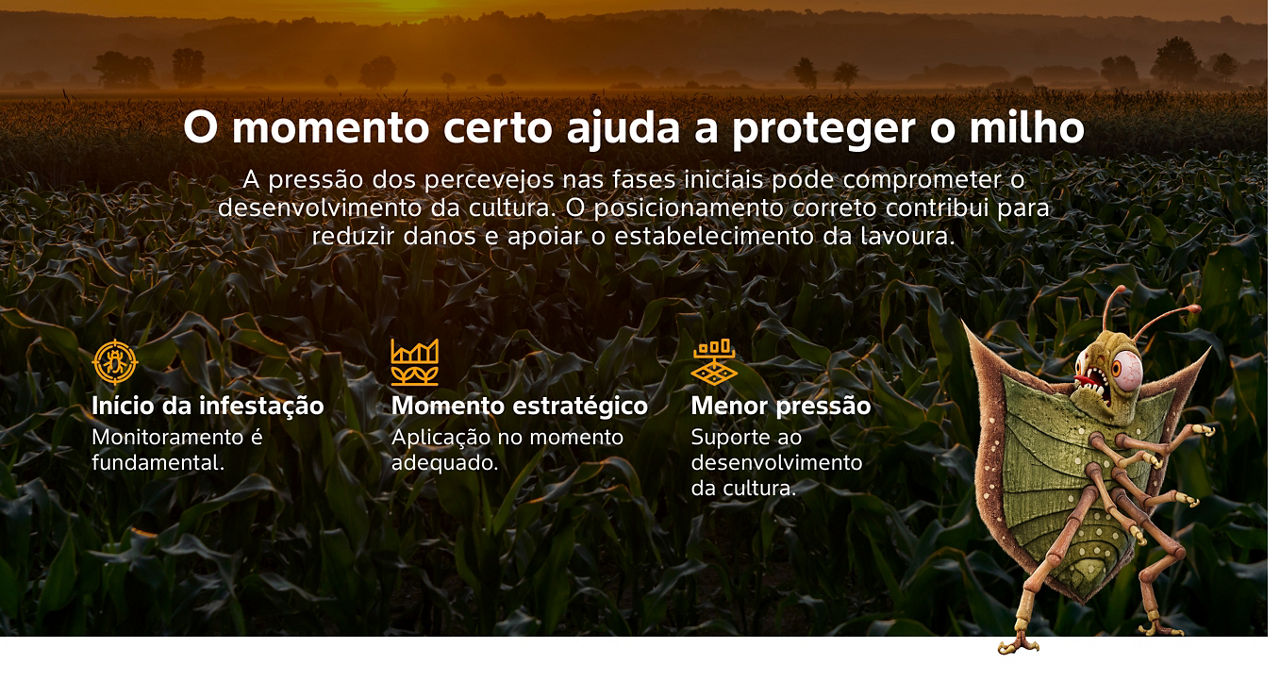 benefícios do curbix milho
