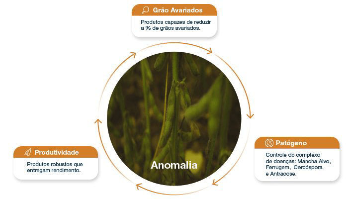  imagem com anomalia de vagem ao centro e ao redor os pontos para uma planta de qualidade, sendo produtividade, grãos variados e patógeno