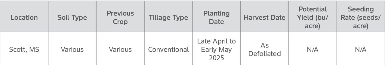 Vegetative Branch Cotton Boll Research Report Characteristics and Background