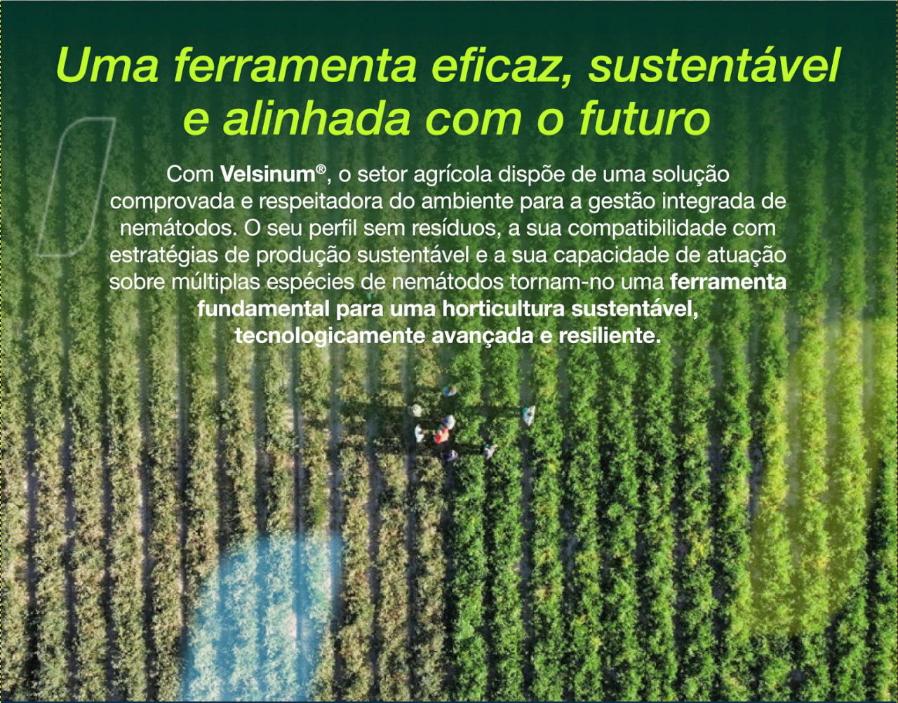 Velsium article image