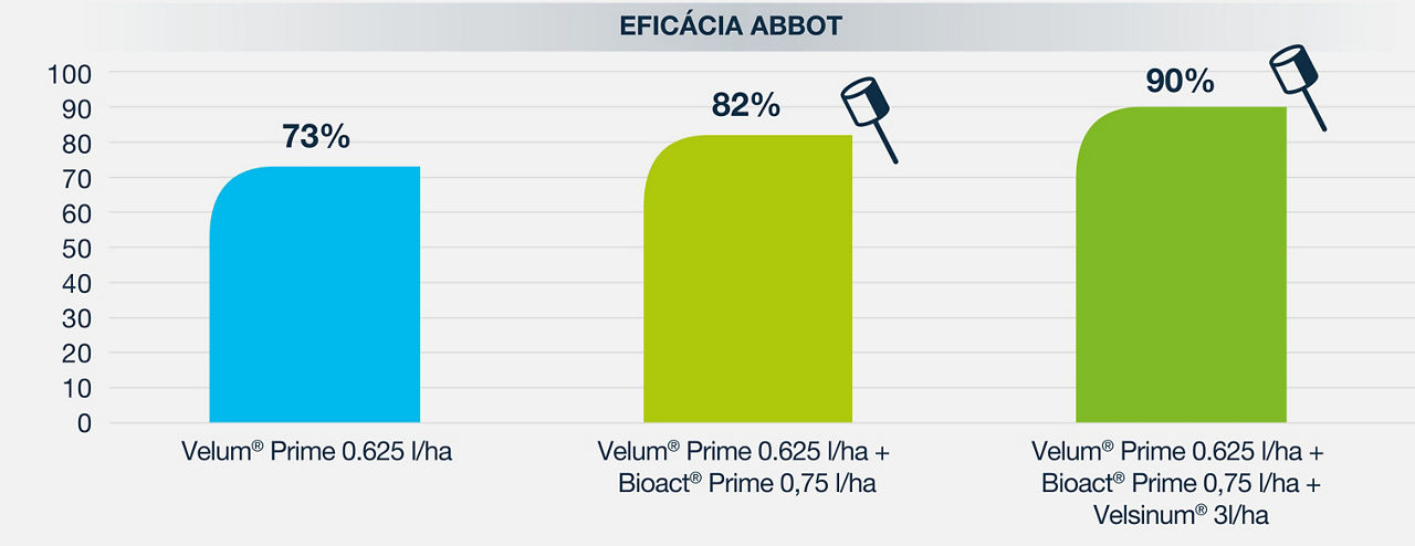 Quadro eficacia abbot