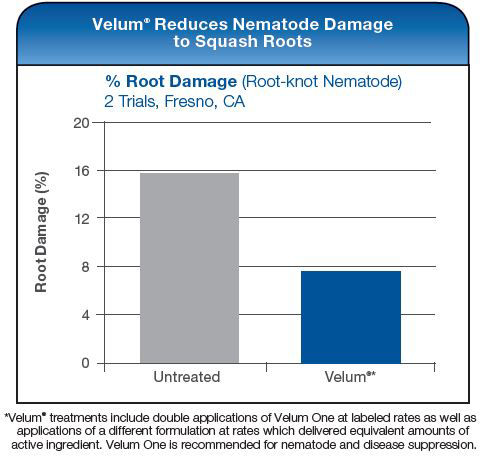 Velum Reduces Nematode Damage to Squash Roots