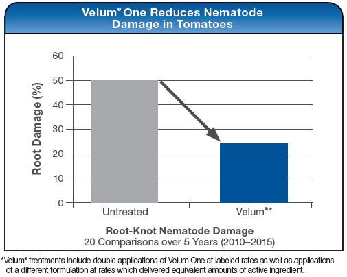 Velum One Reduces Nematode Damage in Tomatoes