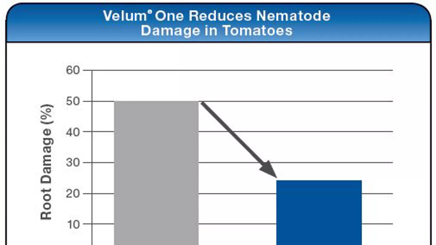Velum® One Trial Data for Fruiting Vegetables