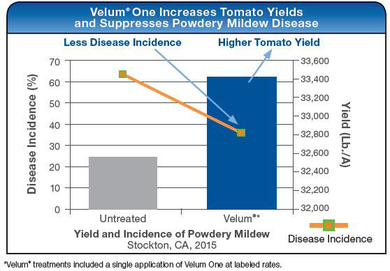 Velum One Increases Tomato Yields and Suppresses Powdery Mildew Disease