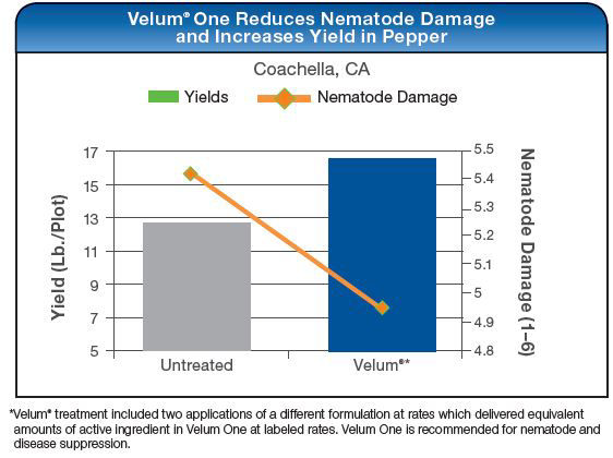 Velum One Reduces Nematode Damage and Increases Yield in Pepper