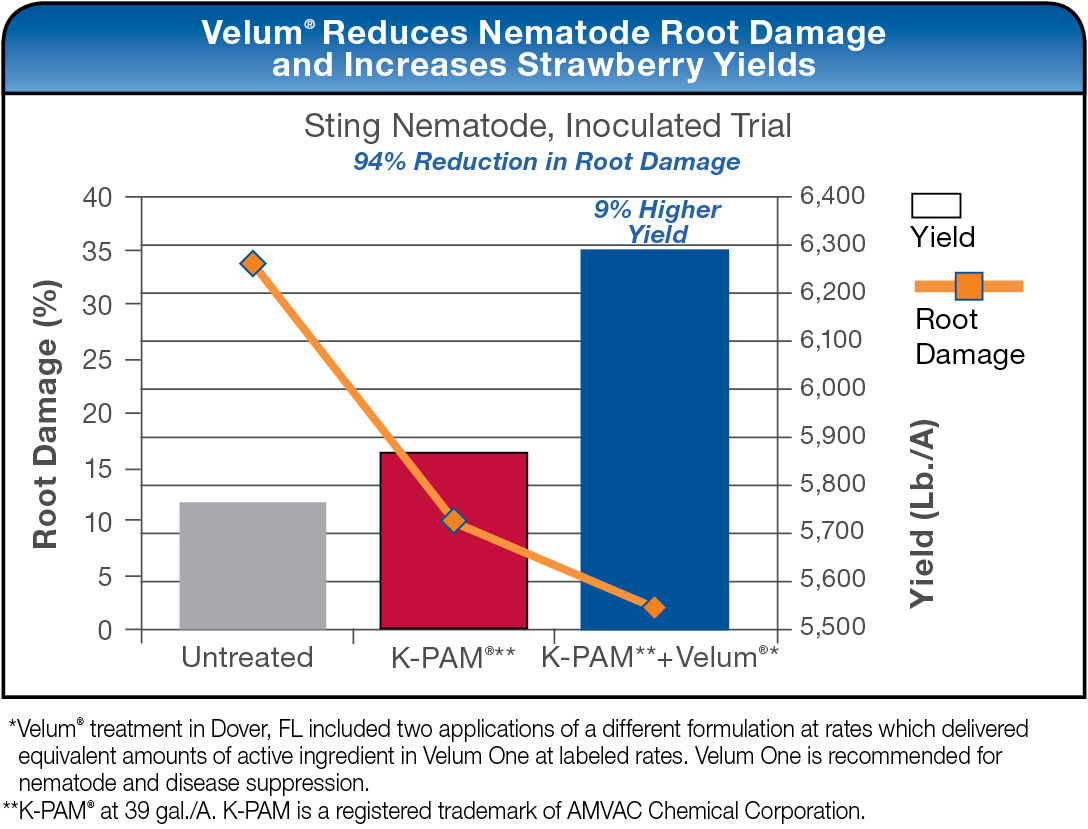Velum Reduces Nematode Root Damage and Increases Strawberry Yields