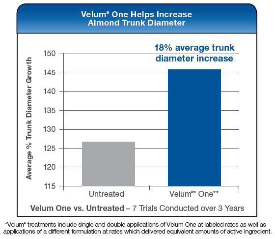 Velum One Helps Increase Almond Trunk Diameter