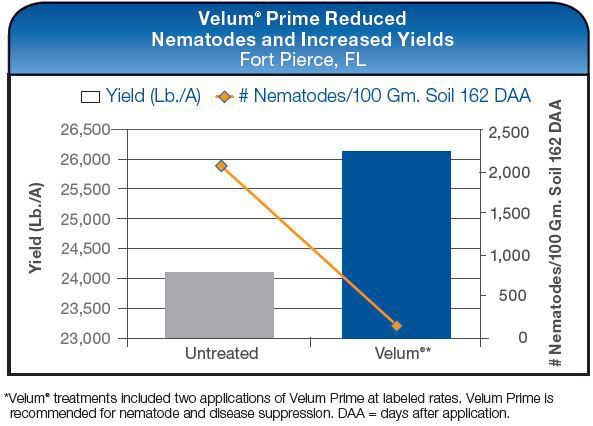 Velum Prime Reduced Nematodes and Increased Yields