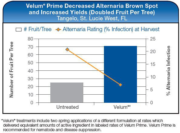 Velum Prime Decreased Alternaria Brown Spot and Increated Yields