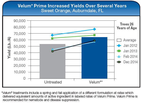 Velum Prime Increased Yields Over Several Years