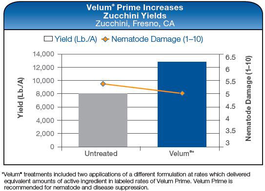Velum Prime Increases Zucchini Yields
