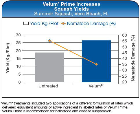 Velum Prime Increases Squash Yields