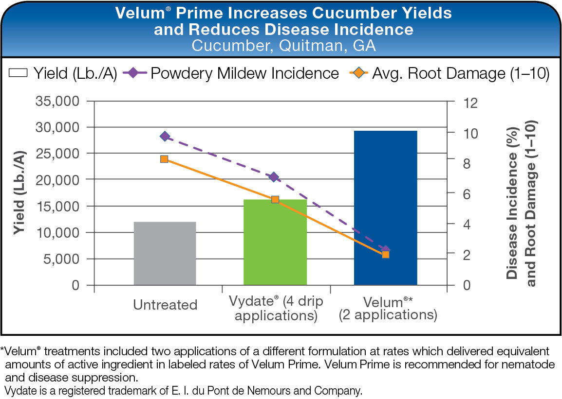 Velum Prime Increases Cucumber Yields and Reduces Disease Incidence