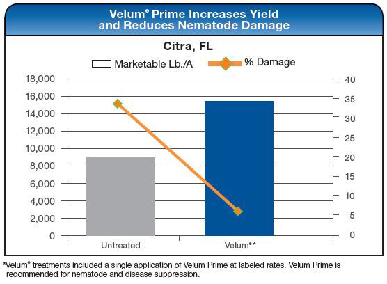 Velum Prime Increases Yield and Reduces Nematode Damage