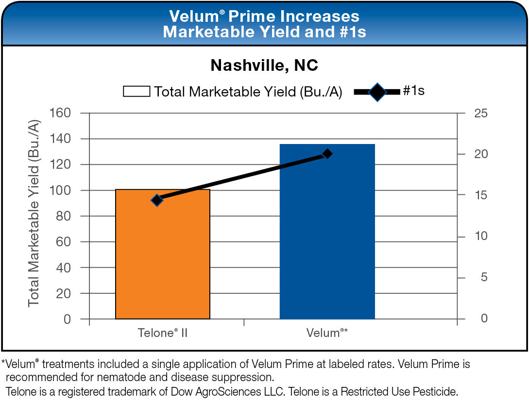 Velum Prime Increases Yield and Reduces Nematode Damage