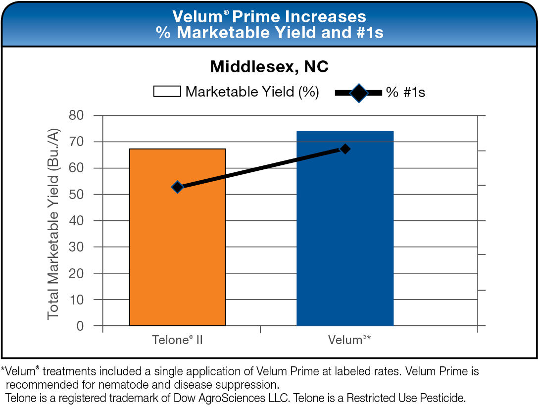 Velum Prime Increases % Marketable Yield and #1s