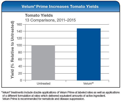 Velum Prime Increases Tomato Yields