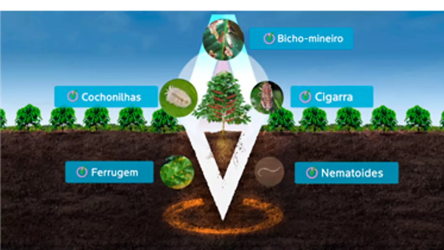 imagem mostrando como os produos funcionam na planta