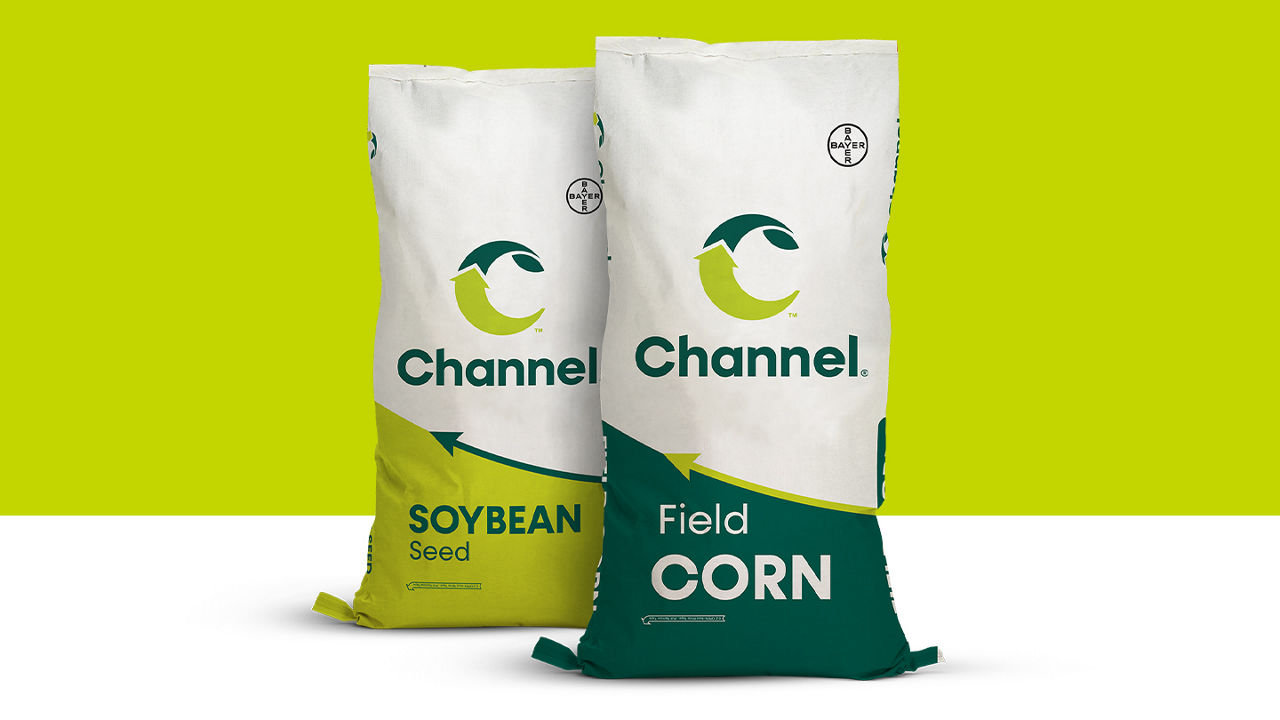 Two bags of Channel Soybean Seed and Field Corn