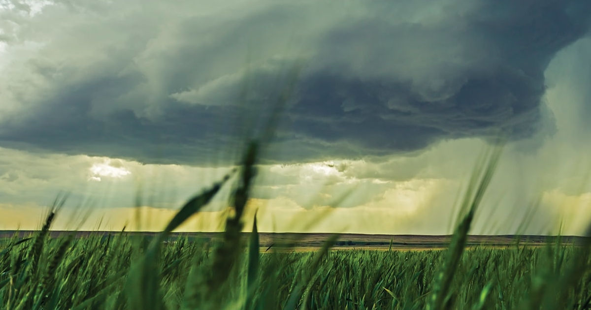 Storm clouds gather over a green field with rain visible in the distance. 