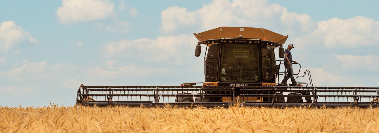 A large combine harvester in a golden wheat field under a clear blue sky with clouds.